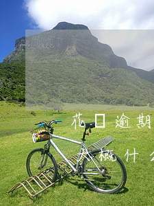 花唄逾期額度沒有降低(花唄逾期額度不可用,大概什么時候恢復(fù))