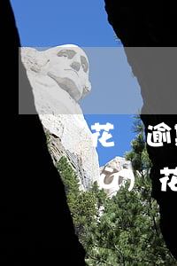 花唄逾期風(fēng)控了多久恢復(fù)(花唄風(fēng)控要多久能恢復(fù))
