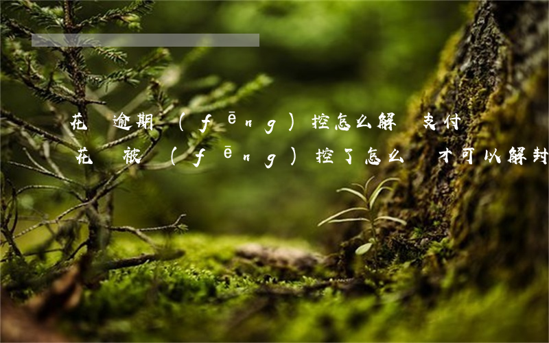 花唄逾期風(fēng)控怎么解凍(支付寶花唄被風(fēng)控了,怎么樣才可以解封)
