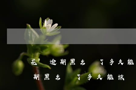 花唄逾期黑名單了多久能恢復正常-花唄逾期黑名單了多久能恢復正常使用