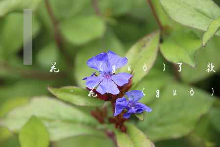 花唄過(guò)了還款日還能還最低額度嗎-花唄過(guò)了還款日還能還最低額度嗎安全嗎