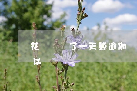 花唄遲還了一天算逾期嗎(花唄遲1天還款可以嗎)