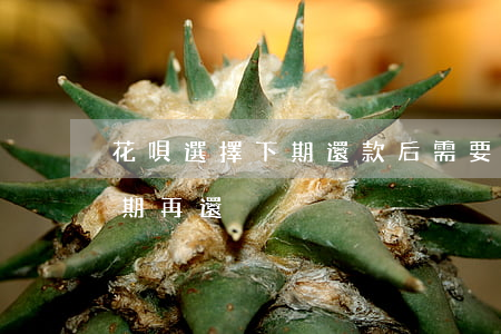 花唄選擇下期還款后需要還全部嗎-花唄下期再還