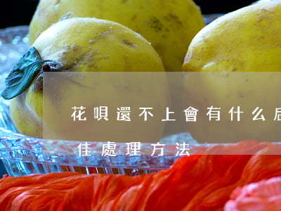 花唄還不上會有什么后果-借唄無力還款最佳處理方法