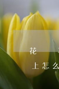 花唄還不上款不上怎么辦-花唄還不上款不上怎么辦呢
