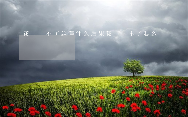 花唄還不了款有什么后果（花唄還不了怎么辦）