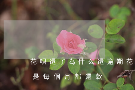 花唄還了為什么還逾期(花唄每個月都逾期 但是每個月都還款)