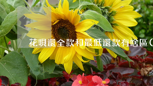 花唄還全款和最低還款有啥區(qū)別-