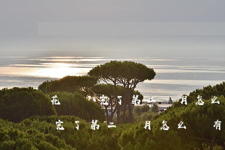 花唄還完了第二個月怎么還有還款-花唄還完了第二個月怎么還有還款記錄
