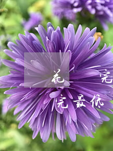 花唄還完最低還款可用額度沒有了-花唄還完最低還款可用額度沒有了怎么回事