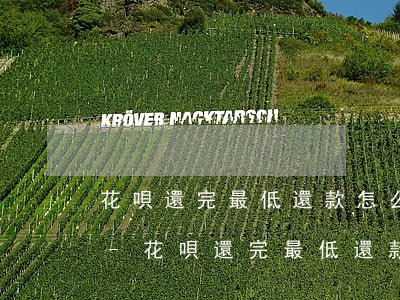 花唄還完最低還款怎么再繼續(xù)還款-花唄還完最低還款怎么再繼續(xù)還款呢