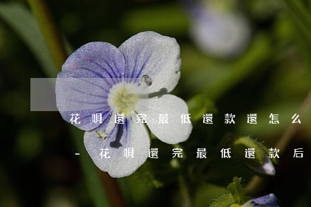 花唄還完最低還款還怎么繼續(xù)還款-花唄還完最低還款后怎么繼續(xù)還款