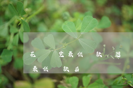 花唄還完最低還款還想還怎么辦-花唄還完最低還款后