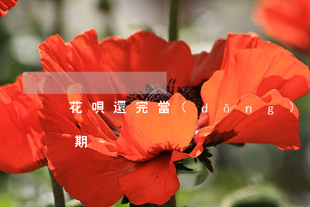 花唄還完當(dāng)月最低還款多久分期-