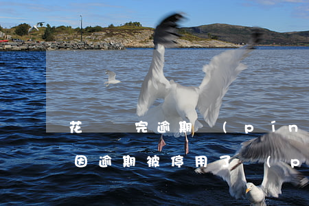 花唄還完逾期評(píng)估要多久(花唄因逾期被停用了,評(píng)估分啥時(shí)候能再使用)