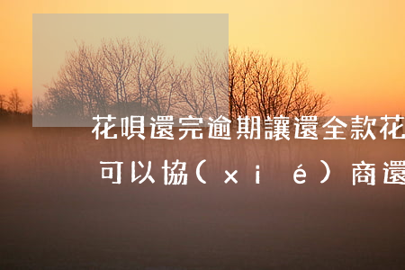 花唄還完逾期讓還全款(花唄逾期要求全款還,可以協(xié)商還款嗎)