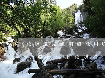 花唄還完逾期還能用嗎(花唄逾期很久后還款了還能使用花唄嗎?)