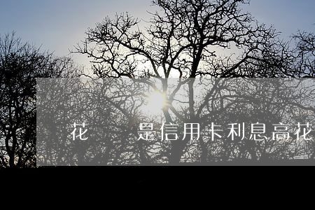 花唄還是信用卡利息高 花唄信用卡利息高嗎
