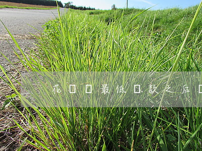 花唄還最低還款之后還要利息嗎-