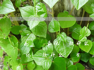 花唄還最低還款什么沒有額度了-花唄還最低還款什么沒有額度了呢