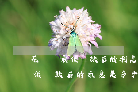 花唄還最低還款后的利息是多少-花唄還最低還款后的利息是多少錢