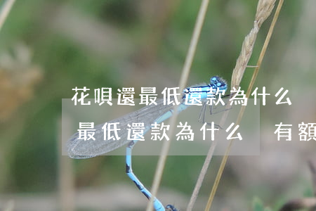 花唄還最低還款為什么沒有額度了-花唄還最低還款為什么沒有額度了呢
