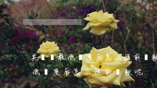 花唄還最低額度后怎么提前還款-花唄還最低額度后怎么提前還款呢