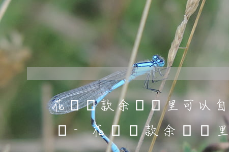 花唄還款余額寶里可以自動(dòng)還嗎-花唄還款余額寶里可以自動(dòng)還嗎怎么關(guān)閉