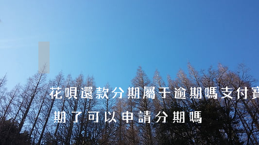 花唄還款分期屬于逾期嗎(支付寶螞蟻花唄逾期了可以申請分期嗎)