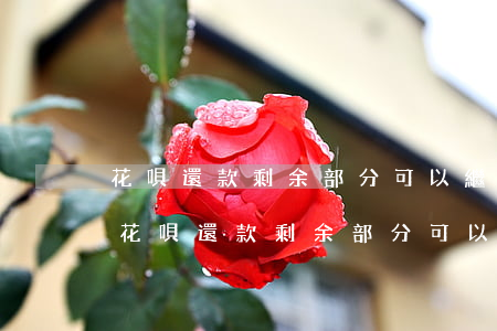花唄還款剩余部分可以繼續(xù)還嗎-花唄還款剩余部分可以繼續(xù)還嗎怎么還