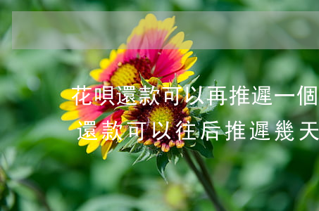 花唄還款可以再推遲一個月還嗎-螞蟻花唄還款可以往后推遲幾天