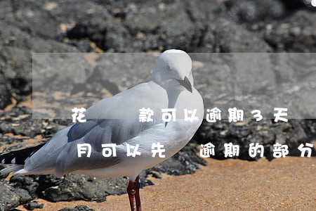 花唄還款可以逾期3天嗎(花唄借唄逾期三個月可以先還逾期的部分嗎)