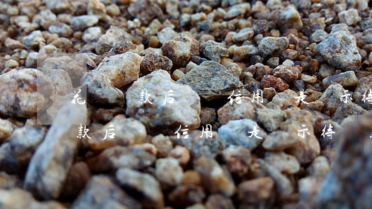 花唄還款后螞蟻信用還是顯示待還-花唄還款后螞蟻信用還是顯示待還款