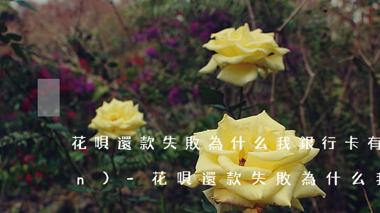 花唄還款失敗為什么我銀行卡有錢(qián)-花唄還款失敗為什么我銀行卡有錢(qián)呢