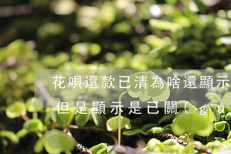 花唄還款已清為啥還顯示欠款(花唄還欠款呢,但是顯示是已關(guān)閉花唄,是什么情況)