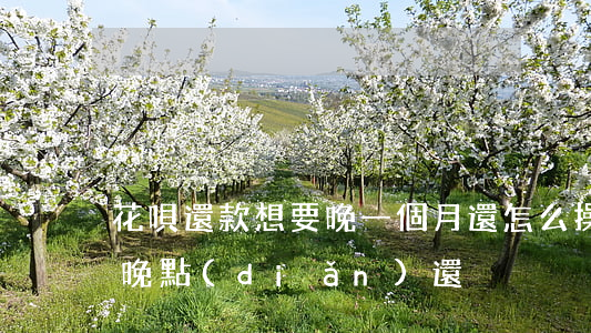 花唄還款想要晚一個月還怎么操作-花唄想晚點(diǎn)還