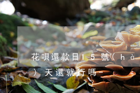 花唄還款日15號(hào)當(dāng)天還就行嗎-