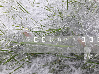 花唄還款日20號還幾號到幾號-