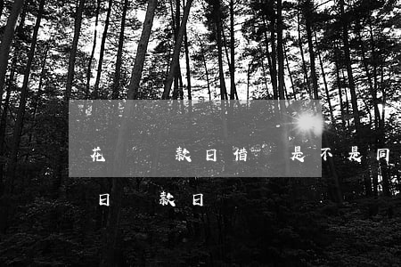 花唄還款日借錢是不是同一天還-花唄借款日還款日