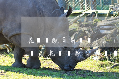 花唄還款日前還進(jìn)去又花出來賬單-花唄還款日前還進(jìn)去又花出來賬單怎么辦
