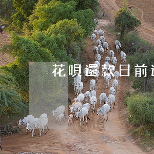 花唄還款日前還還是還款日時還-