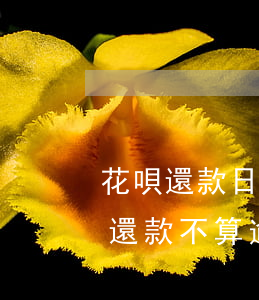 花唄還款日十號到幾點算超期（花唄當日幾點還款不算逾期）
