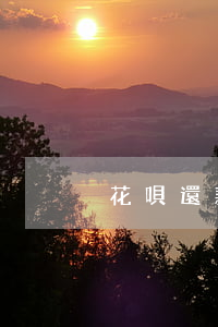 花唄還款日沒有還完怎么算利息-