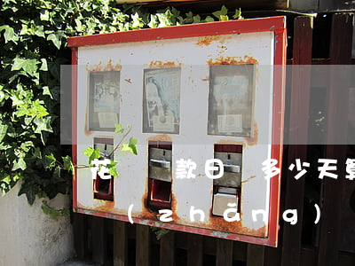 花唄還款日為多少天算逾期 花唄還款日期多長(zhǎng)