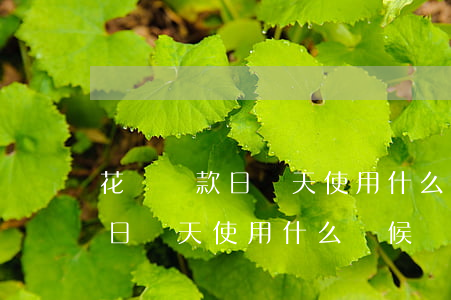 花唄還款日當天使用什么時候還-花唄還款日當天使用什么時候還款