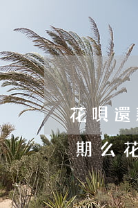 花唄還款日自動(dòng)扣款失敗算逾期么(花唄還款日自動(dòng)扣款失敗算逾期么)