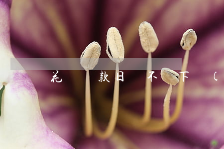 花唄還款日錢不夠下個(gè)月能還嗎-