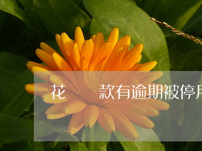 花唄還款有逾期被停用