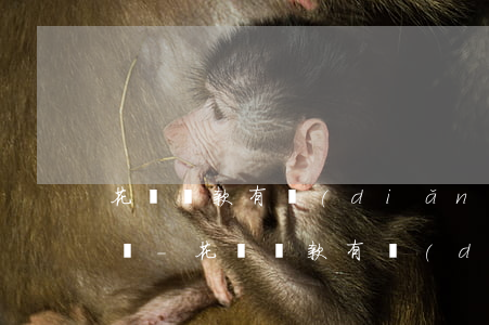 花唄還款有點(diǎn)緊可以向朋友借嗎-花唄還款有點(diǎn)緊可以向朋友借嗎安全嗎