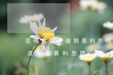花唄還款未逾期要利息嗎(借唄逾期利息按未還本金算利息嗎)